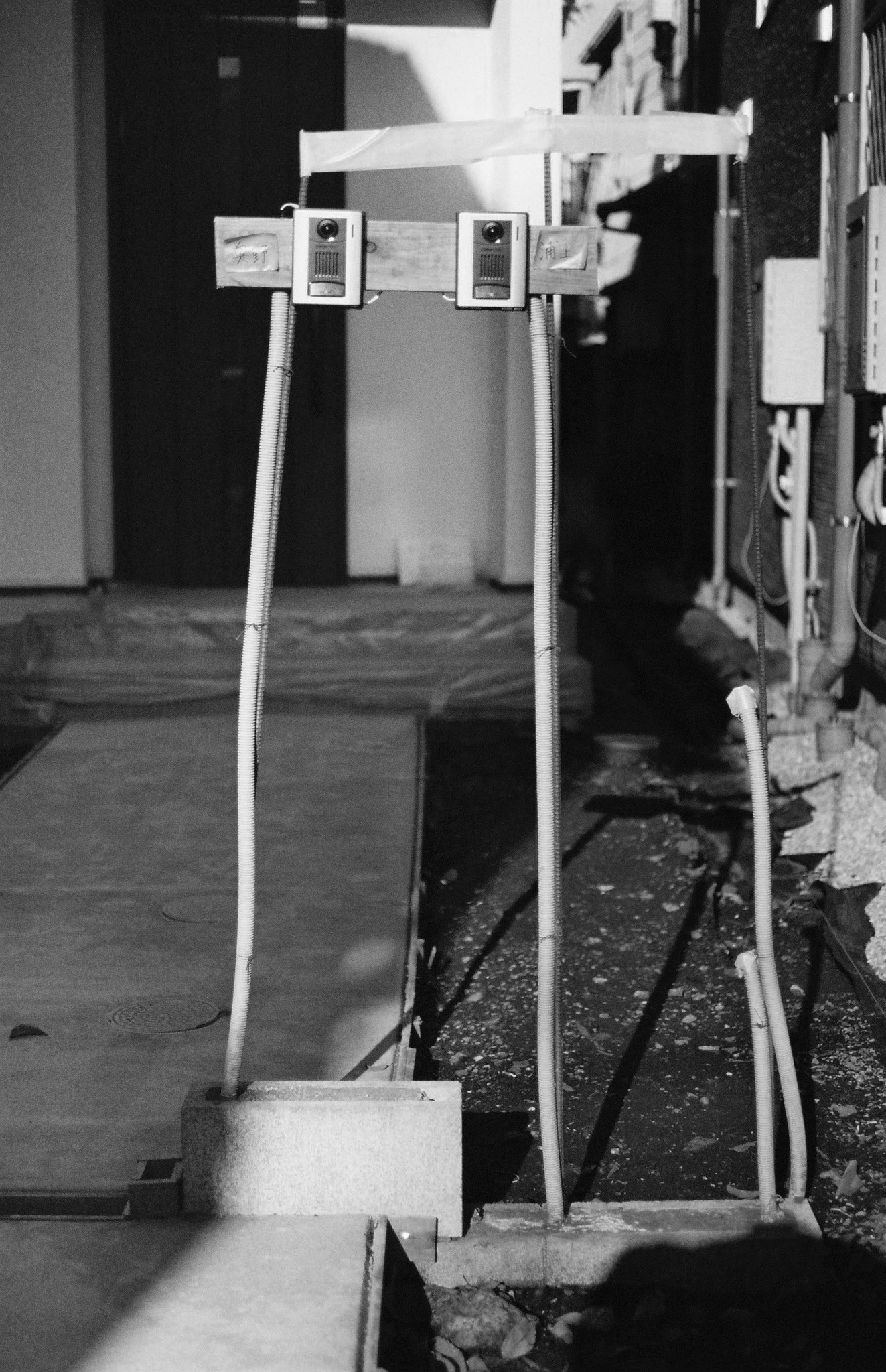 Photograph by Lorenzo Dalbosco